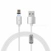 Cwxuan USB Type-C Μαγνητικό Καλώδιο Φόρτισης & Δεδομένων (120cm) Cwxuan USB Type-C Μαγνητικό Καλώδιο Φόρτισης & Δεδομένων (120cm)