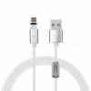 Cwxuan USB Type-C Detachable Magnetic Charging Data Cable (120cm)