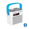 PANDORA200 M         MP3  Usb  Micro Sd    FM   3     