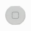 iPad mini home button 