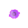 iPhone 4S Home Button 