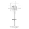 TECHLY ICA-TR55 ΤΡΟΧΛΗΛΑΤΗ ΒΑΣΗ ΜΕ ΡΑΦΙ ΓΙΑ ΤΗΛΕΟΡΑΣΗ LCD/LED/PLASMA 37-86' ΛΕΥΚΗ TECHLY ICA-TR55 ΤΡΟΧΛΗΛΑΤΗ ΒΑΣΗ ΜΕ ΡΑΦΙ ΓΙΑ ΤΗΛΕΟΡΑΣΗ LCD/LED/PLASMA 37-86' ΛΕΥΚΗ
