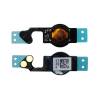 iPhone 5 Home Flex Cable