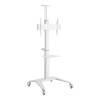 Techly ICA-TR48W Τροχήλατη βάση τηλεόρασης 37 "έως 70" λευκό χρώμα Techly ICA-TR48W Τροχήλατη βάση τηλεόρασης 37 "έως 70" λευκό χρώμα