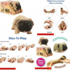 Dog   - Sensory, Stress, Fidget Toy (oem)(bulk)