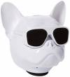 Ασύρματα ηχεία Aσπρο χρώμα κεφαλή-μπουλντόκ  Aerobull Nano Wireless Speaker Bulldog Bluetooth Speaker Outdoor Portable Bass Speaker Touch Control  (oem)