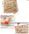 Πρώιμο εκπαιδευτικό παζλ, Ψηφιακός λαβύρινθος Mushroom,  Έγχρωμο Παιχνίδι Διαφώτισης  ΙΔΑΝΙΚΟ ΓΙΑ ΔΩΡΟ