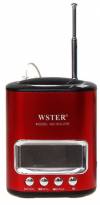WSTER   WS-259 - 