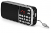 Y-501 Mini  LCD   FM -  USB Disk TF AUX Mp3 Music Player  
