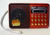 Golon RX-60 BT Bluetooth Music Player  FM Radio / USB / TF   LED 