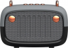 Telemax BS-32D Bluetooth Speaker 5W with Radio Gray