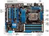 ASUS P68X58D PREMIUM 1366 ASUS P68X58D PREMIUM 1366