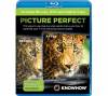 KNOWHOW Picture Perfect blu-ray tv settings