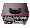 MS-119BT  Bluetooth,  spearker USB / SD / FM 
