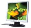 Acer AL1912s 19 LCD Monitor