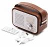 TELLER TLL 161001 Portable FM Radio / Bluetooth / Micro SD Card / USB / AUX