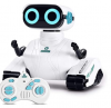 Παιχνίδι ρομπότ Allcele Electric Remote Control για αγόρια και κορίτσια, με μάτια LED και εύκαμπτα μπράτσα, ιδανικό δώρο Χριστουγέννων και γενεθλίων για παιδιά 6 ετών και άνω (Λευκό)