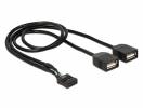 DELOCK USB Cable Pin header female to 2x USB 2.0 A female 60cm