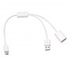 USB 3.1 Type C OTG με Εξωτερική Ισχύ 32cm (ΟΕΜ) USB 3.1 Type C OTG με Εξωτερική Ισχύ 32cm (ΟΕΜ)
