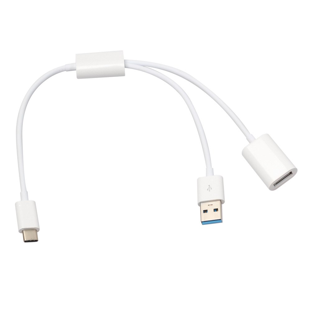 USB 3.1 Type C OTG με Εξωτερική Ισχύ 32cm (ΟΕΜ)