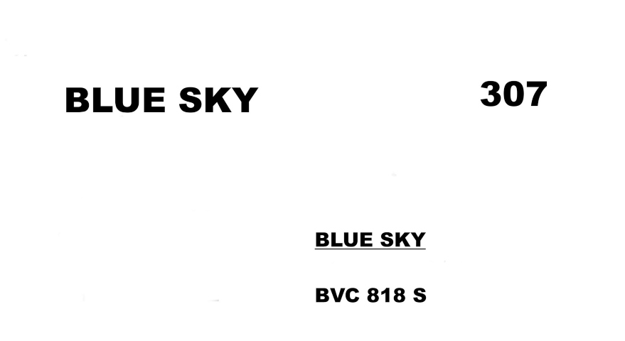 Σακούλες για σκούπα με φίλτρο 307-BLUE SKY BVC 818 S newfiltration x5 τεμάχια (OEM)