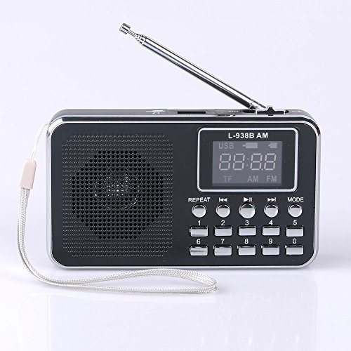GES NET Mini Digital AM/FM LCD Radio Speaker with Micro SD/TF & USB MP3 Player (938B black)