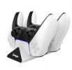 iPega PS5 Controller Charging Station (PG-P5012) (White)