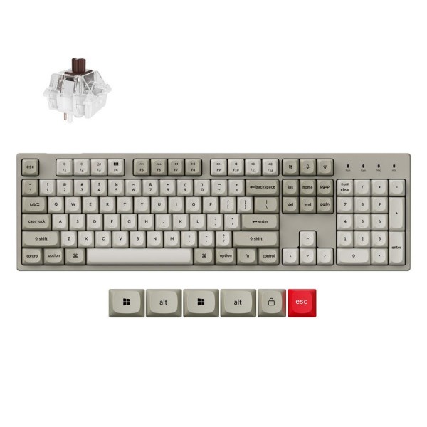 Keychron C2 Pro (C2PX-M3) QMK/VIA Mechanical Brown Switch (8K Polling Rate, Hot-Swap, 100% US Layout) Retro RGB