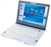 Sony VAIO (15.4, Intel T2400, 1GB RAM, 500GB HDD, Windows XP) (VGN-FE11S)
