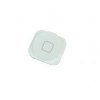 iPhone 5 Home Button Άσπρο
