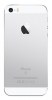 iphone SE Rear Housing in Silver Replacement High Quality