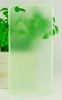 Apple iPhone 6 Plus 5.5" - TPU Ultra Thin Case 0.3mm Green (OEM)