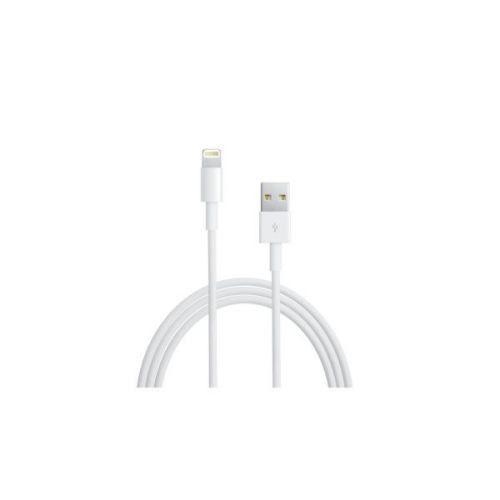 Apple Original Lightning to USB Cable (MD818ZM/A)