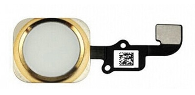 Gold iPhone 6 Home Button with Ring & Flex Cable Assembly (Repair Parts)