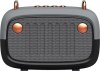 Telemax BS-32D Ηχείο Bluetooth 5W με Ραδιόφωνο Γκρι Telemax BS-32D Ηχείο Bluetooth 5W με Ραδιόφωνο Γκρι