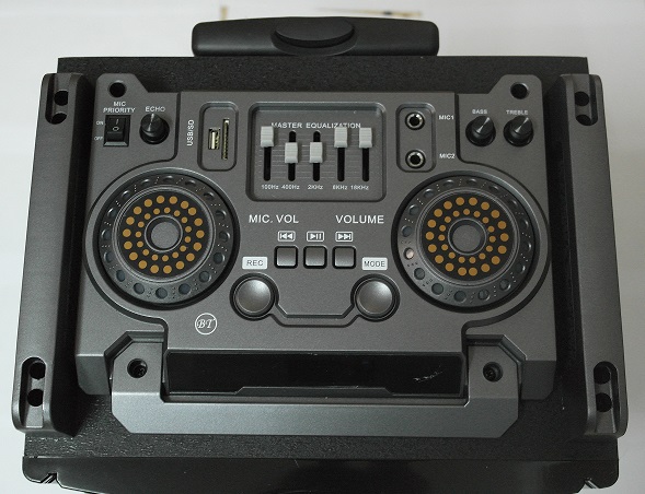 Portable Sound System with Wheels, Bluetooth, FM, USB & Microphone (CN-S2468FM-BT) (OEM) (Carrying)