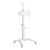 Techly ICA-TR48W Τροχήλατη βάση τηλεόρασης 37 "έως 70" λευκό χρώμα Techly ICA-TR48W Τροχήλατη βάση τηλεόρασης 37 "έως 70" λευκό χρώμα