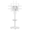 TECHLY ICA-TR55 ΤΡΟΧΛΗΛΑΤΗ ΒΑΣΗ ΜΕ ΡΑΦΙ ΓΙΑ ΤΗΛΕΟΡΑΣΗ LCD/LED/PLASMA 37-86' ΛΕΥΚΗ TECHLY ICA-TR55 ΤΡΟΧΛΗΛΑΤΗ ΒΑΣΗ ΜΕ ΡΑΦΙ ΓΙΑ ΤΗΛΕΟΡΑΣΗ LCD/LED/PLASMA 37-86' ΛΕΥΚΗ